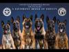 USMS Tactical K9 Team